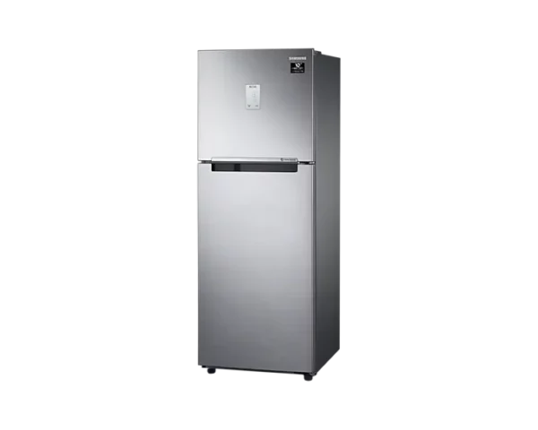 Samsung 253 L 3 Star with Inverter Double Door Refrigerator
